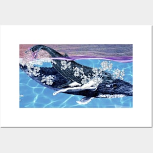 Baby Humpback Posters and Art